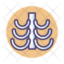 پیش‌نمایش فایل human-ribs-bones-2788147 از پک پزشکی