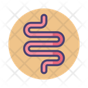 پیش‌نمایش فایل intestines-2788175 از پک پزشکی