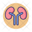 پیش‌نمایش فایل kidneys-2788173 از پک پزشکی