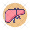 پیش‌نمایش فایل liver-2788172 از پک پزشکی