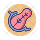 پیش‌نمایش فایل pancreas-2788155 از پک پزشکی
