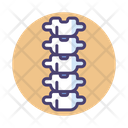 پیش‌نمایش فایل spine-2788139 از پک پزشکی