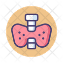 پیش‌نمایش فایل thyroid-2788128 از پک پزشکی