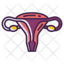 پیش‌نمایش فایل female-reproductive-2788302 از پک پزشکی