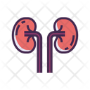 پیش‌نمایش فایل kidneys-2788278 از پک پزشکی