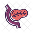 پیش‌نمایش فایل pancreas-2788260 از پک پزشکی