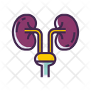پیش‌نمایش فایل urology-2788230 از پک پزشکی