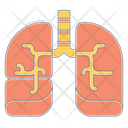 پیش‌نمایش فایل lungs-2888234 از پک اشیا CBD