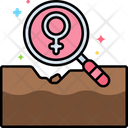 پیش‌نمایش فایل feminist-archaeology-3728078 از پک باستان‌شناسی