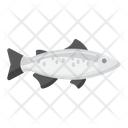 پیش‌نمایش فایل salmon-4071403 از پک ماهیگیری