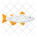 پیش‌نمایش فایل trout-4071417 از پک ماهیگیری