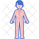 پیش‌نمایش فایل body-meridians-4070816 از پک پزشکی جایگزین