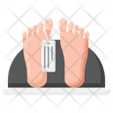 پیش‌نمایش فایل morgue-4071236 از پک خدمات مراسم خاکسپاری