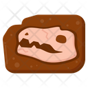 پیش‌نمایش فایل fossil-4144471 از پک تاریخ