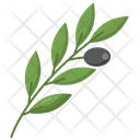 پیش‌نمایش فایل olive-leaf-4144503 از پک تاریخ