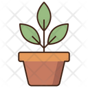 پیش‌نمایش فایل plant-4163173 از پک لوازم اداری