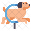 پیش‌نمایش فایل agility-training-4126945 از پک آموزش سگ