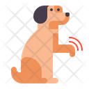 پیش‌نمایش فایل dog-begging-4126948 از پک آموزش سگ