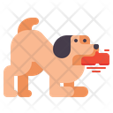 پیش‌نمایش فایل dog-chewing-4126951 از پک آموزش سگ