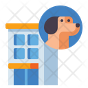 پیش‌نمایش فایل doggy-hotel-4126966 از پک آموزش سگ