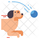 پیش‌نمایش فایل fetch-ball-4126979 از پک آموزش سگ