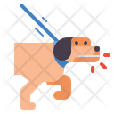پیش‌نمایش فایل leash-aggression-4126992 از پک آموزش سگ