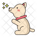 پیش‌نمایش فایل dog-begging-4202536 از پک آموزش سگ