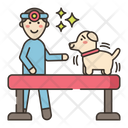پیش‌نمایش فایل fearless-vet-visit-4202566 از پک آموزش سگ
