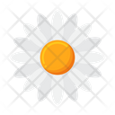 پیش‌نمایش فایل daisy-4279122 از پک گیاهان