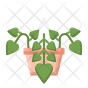 پیش‌نمایش فایل devil-s-ivy-4279044 از پک گیاهان