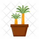 پیش‌نمایش فایل dracaena-4279045 از پک گیاهان
