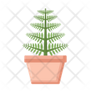 پیش‌نمایش فایل fern-4279050 از پک گیاهان