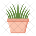 پیش‌نمایش فایل grass-4279060 از پک گیاهان