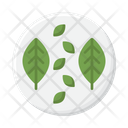 پیش‌نمایش فایل leaves-4279068 از پک گیاهان
