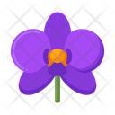 پیش‌نمایش فایل orchid-4279071 از پک گیاهان