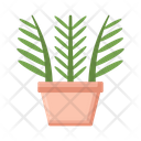 پیش‌نمایش فایل parlor-palm-4279074 از پک گیاهان