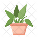 پیش‌نمایش فایل philodendron-4279076 از پک گیاهان