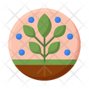 پیش‌نمایش فایل plant-4279077 از پک گیاهان