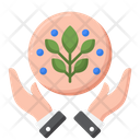 پیش‌نمایش فایل plant-care-4279078 از پک گیاهان