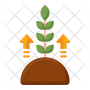 پیش‌نمایش فایل plant-growth-4279061 از پک گیاهان