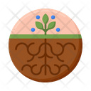پیش‌نمایش فایل root-4279086 از پک گیاهان