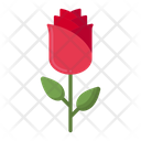 پیش‌نمایش فایل rose-4279087 از پک گیاهان