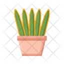 پیش‌نمایش فایل snake-plant-4279090 از پک گیاهان