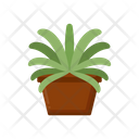 پیش‌نمایش فایل spider-plant-4279093 از پک گیاهان