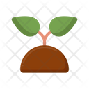 پیش‌نمایش فایل sprout-4279096 از پک گیاهان