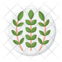پیش‌نمایش فایل stem-4279097 از پک گیاهان