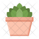 پیش‌نمایش فایل succulent-4279098 از پک گیاهان