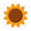 پیش‌نمایش فایل sunflower-4279100 از پک گیاهان