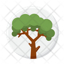 پیش‌نمایش فایل tree-4279103 از پک گیاهان