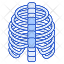 پیش‌نمایش فایل bones-4304378 از پک نفت CBD